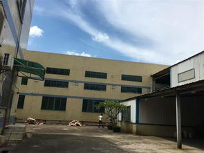 韶關(guān)市工業(yè)廠房驗廠檢測鑒定報告辦理指南及行業(yè)動態(tài)